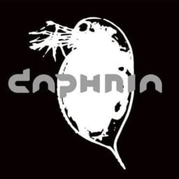 Daphnia
